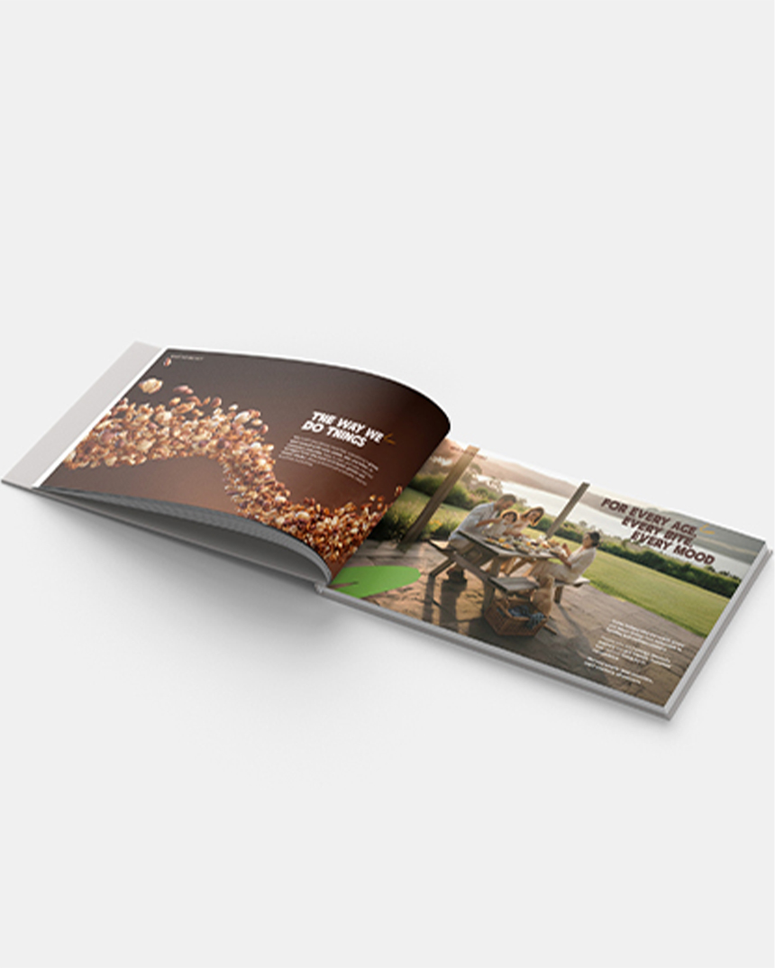Munchilicious anytime snacking strategy book showing granola and healthy snack communication